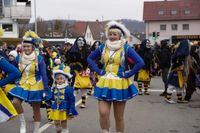 Der Umzug in Ehningen lockt jedes Jahr die Massen an.