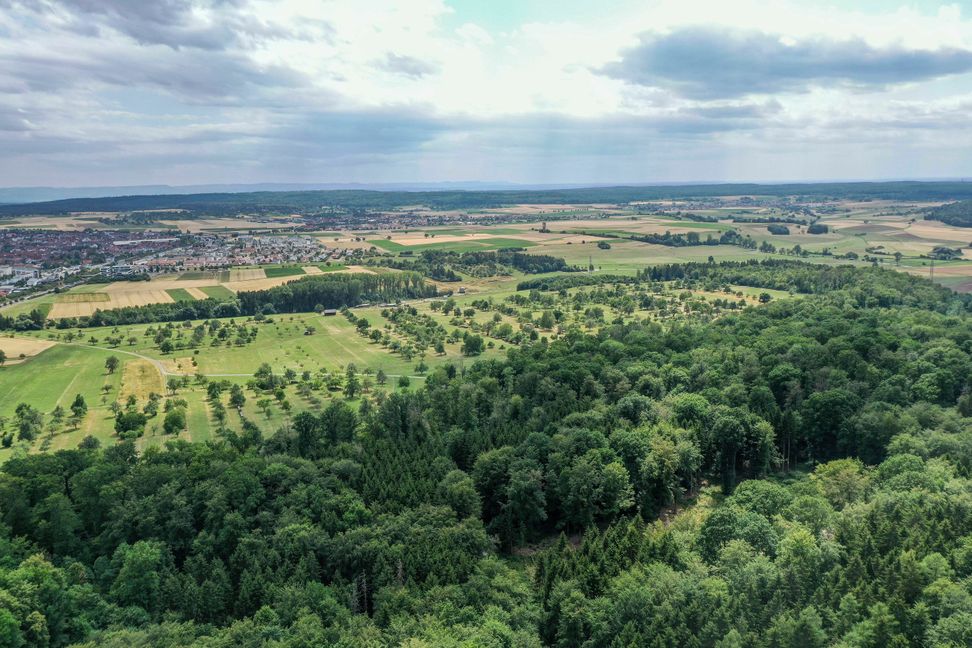 Die Schönbuchlichtung rund um Holzgerlingen ist ein uralter Siedlungsraum. Bild: Dettenmeyer