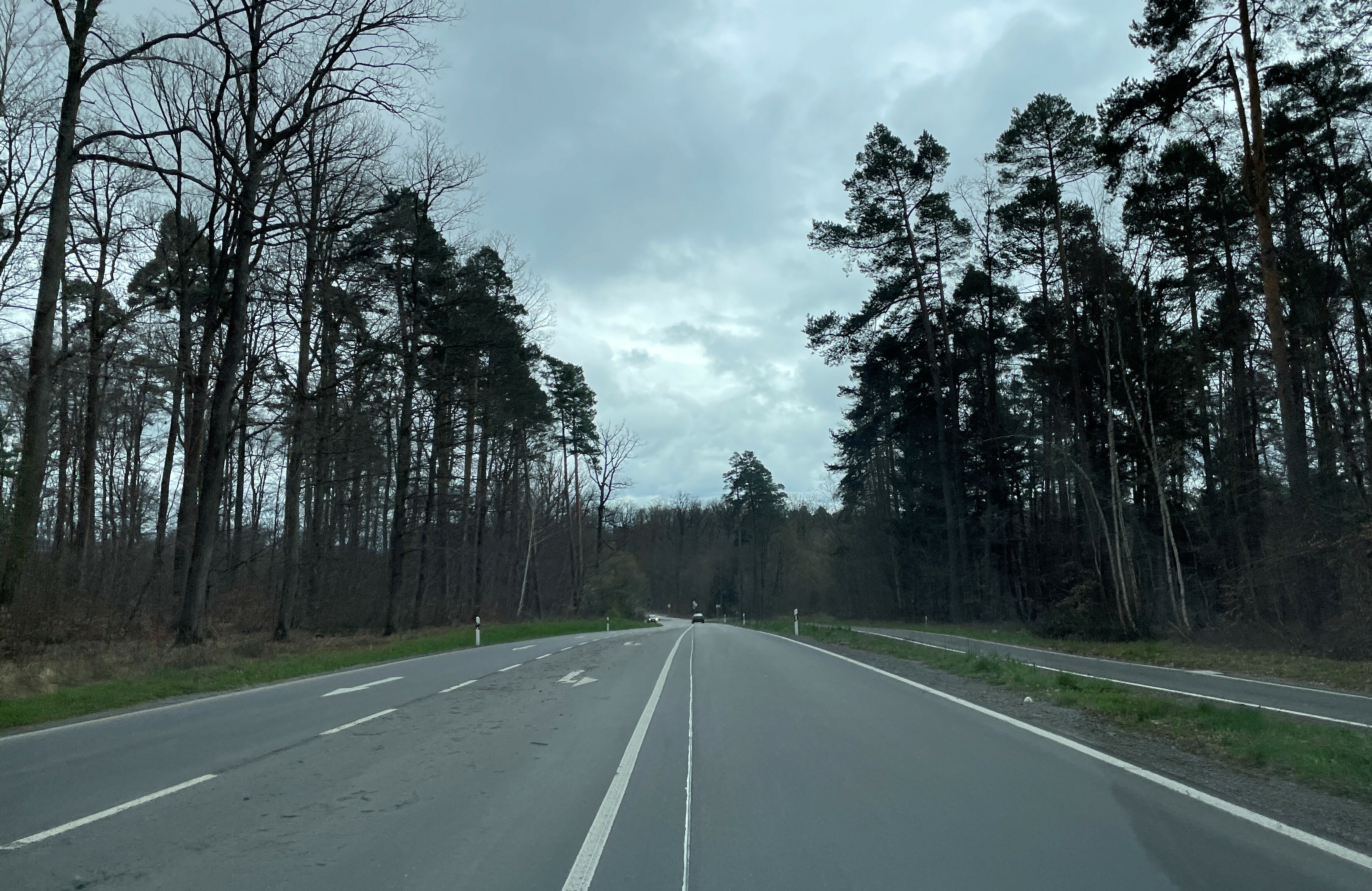 Für Verkehrsteilnehmer gilt an dem betroffenen Abschnitt der Panzerstraße eine zulässige Höchstgeschwindigkeit von 100 Kilometern pro Stunde – trotz Wildwechsels. Bild: Kalus