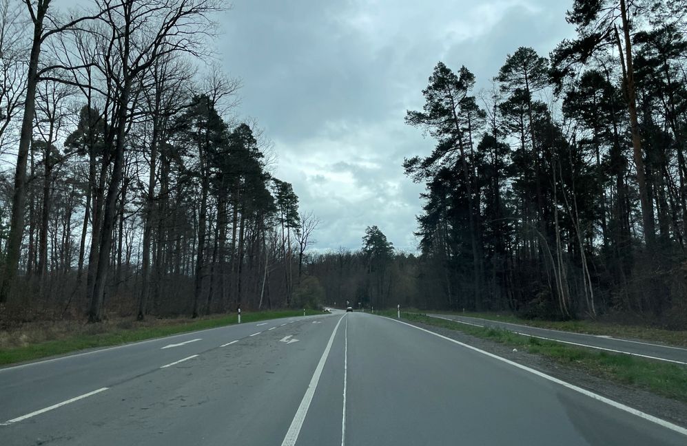 Für Verkehrsteilnehmer gilt an dem betroffenen Abschnitt der Panzerstraße eine zulässige Höchstgeschwindigkeit von 100 Kilometern pro Stunde – trotz Wildwechsels. Bild: Kalus