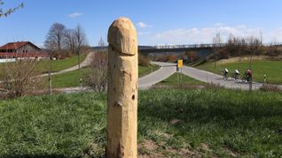 Der mysteriöse Holzpenis von Heimenkirch im Jahr 2021. Nun sind die Phallus-Darstellungen zurück.