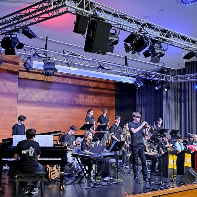 Die AEG Big Band unter der Leitung von Johannes Stephan.      Bild: Staber