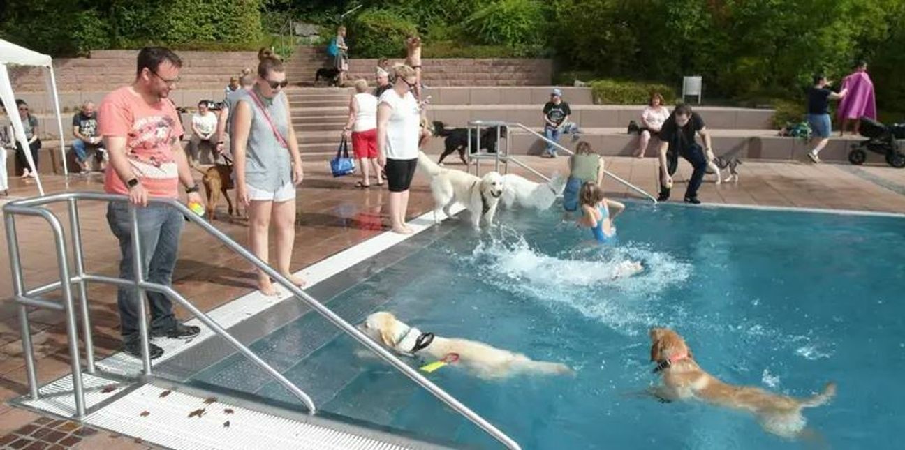 Am Samstag dürfen die Vierbeiner im Böblinger Freibad wieder plantschen.    Bild: z