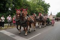 Der historische Festumzug war der Höhepunkt des Maichinger Festwochenendes.