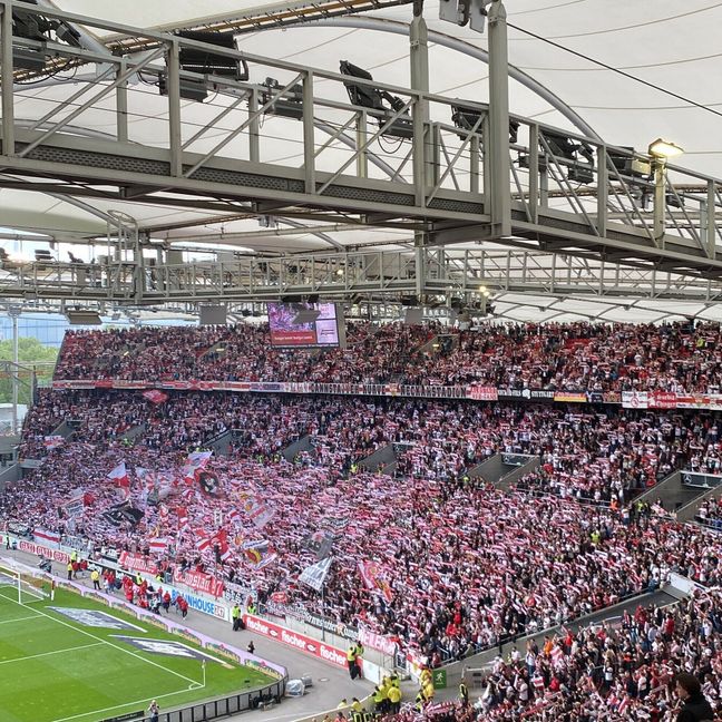 Der VfB Stuttgart steckt mitten im Abstiegskampf. Bild: Hamann/A