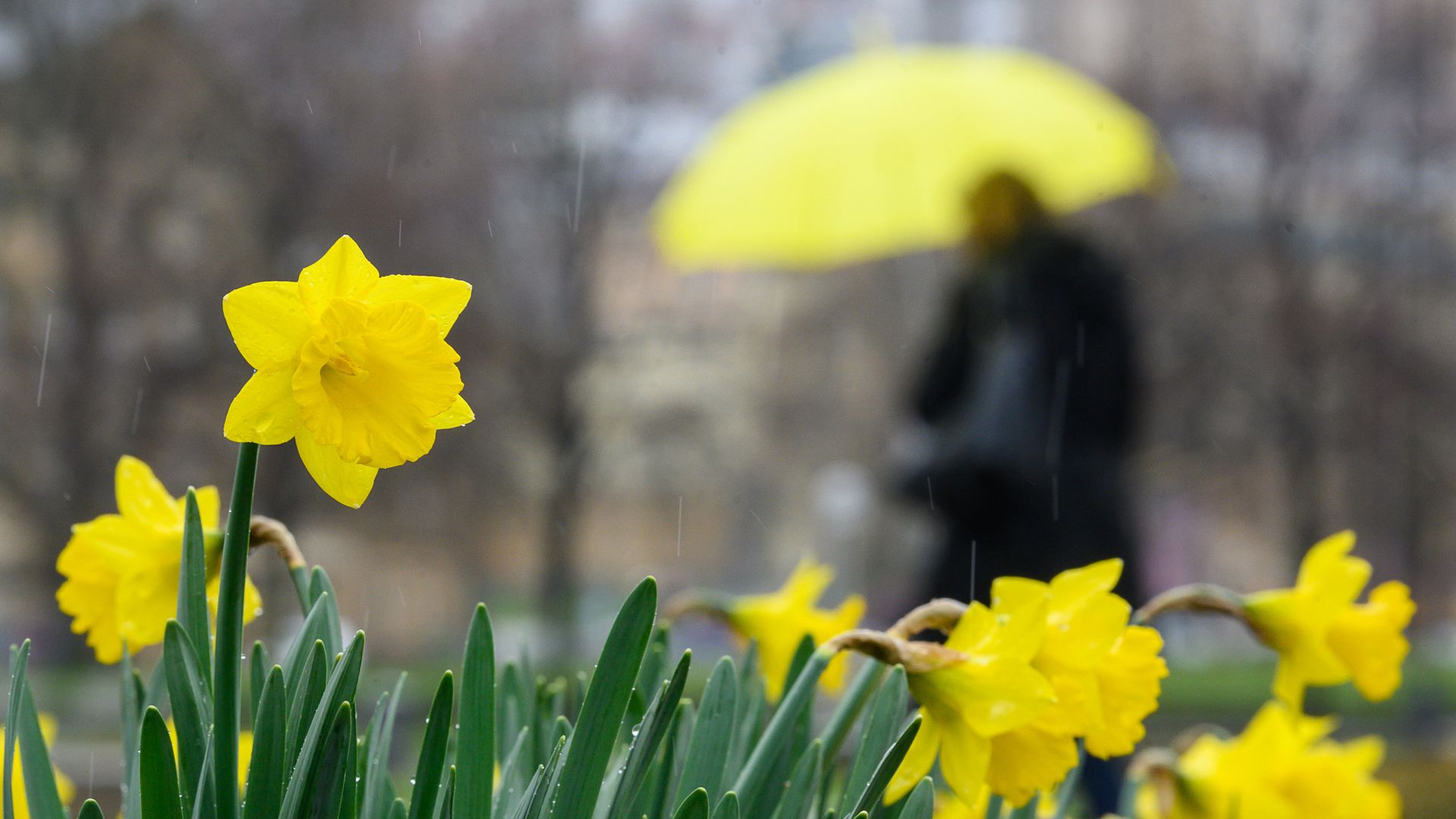 Vor dem bevorstehenden Sommerwetter am Wochenende, bleibt es zunächst noch kühl und windig im Südwesten (Symbolbild).