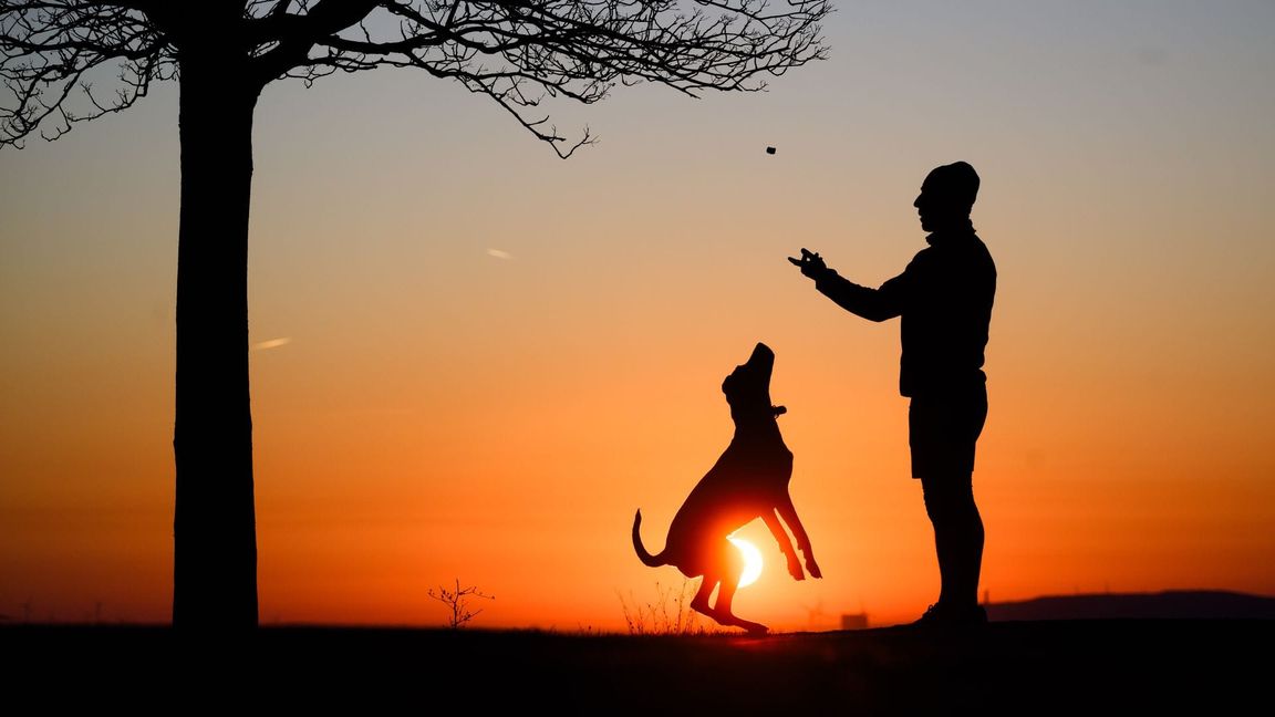 Hund statt Kind? Ganz so einfach ist es nicht.