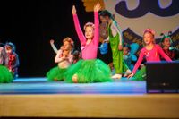 Jubiläumsabend der Gesellschaft Blau-Weiss Sindelfingen: Tanz, Musik und fröhliche Momente mit Gästen und Garden.