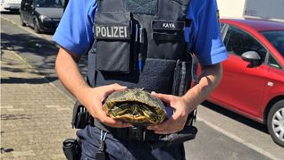 Ein Polizist präsentiert die wagemutige Schildkröte.