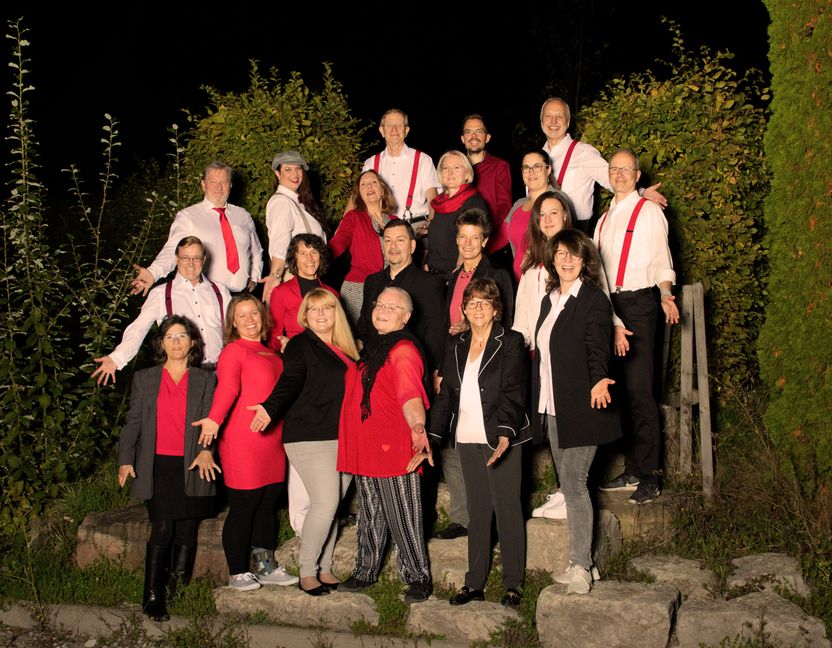 Der Böblinger Chor Voices-e-motion tritt am Samstag in Dagersheim auf.    Bild: Sebecke