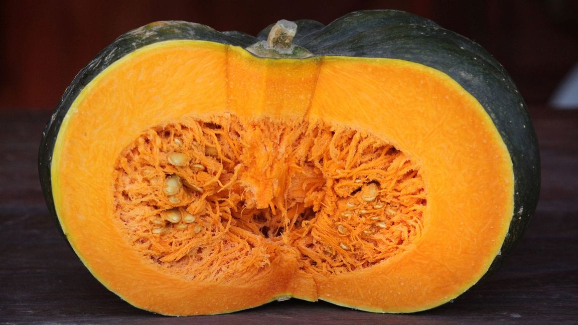 Ein aufgeschnittener Kürbis. Daraus lassen sich leckere Gerichte kochen, aber ist er auch schon reif?