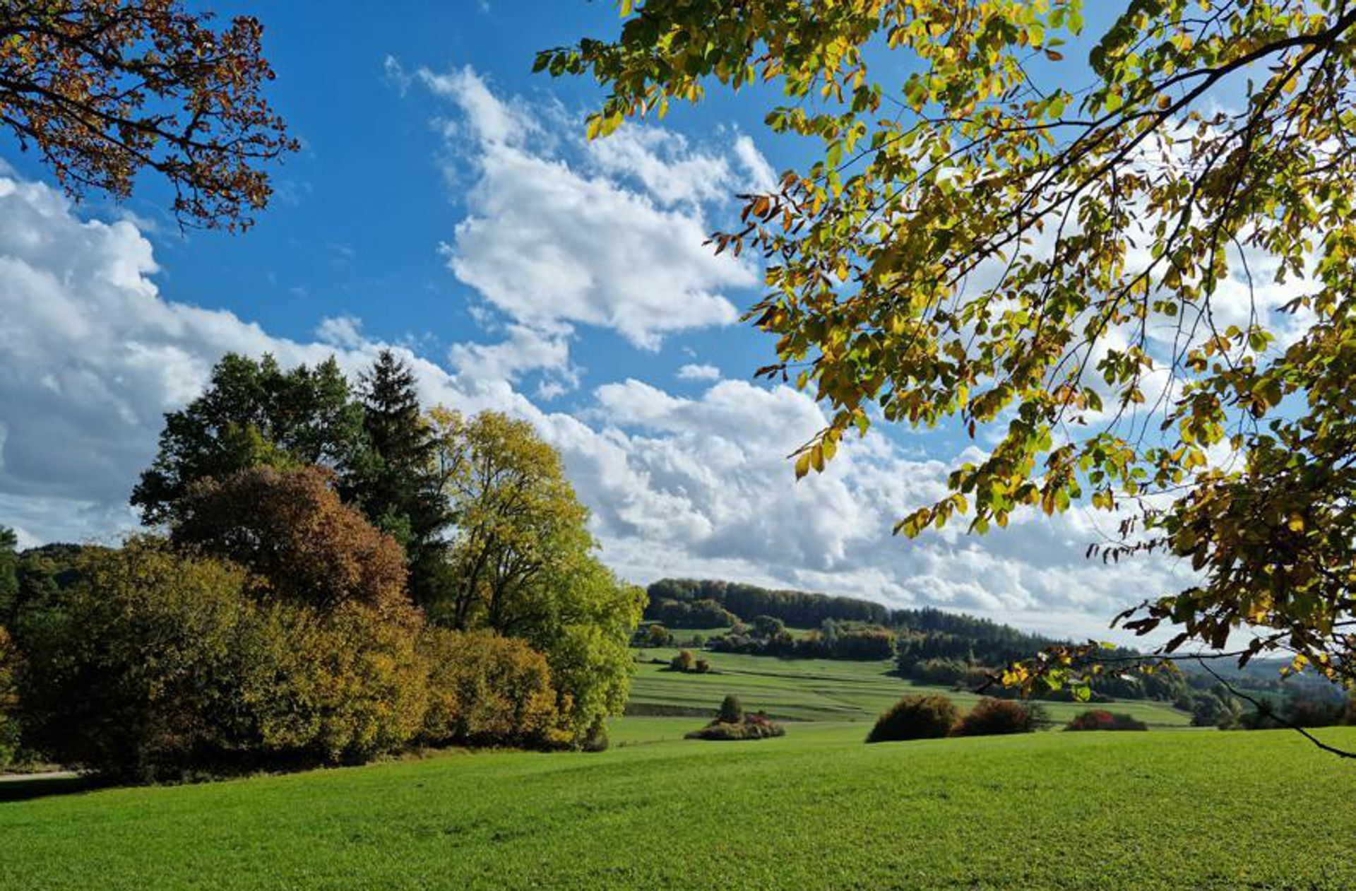 Wiesen, Wälder und Hochflächen wechseln sich auf der Tour ab.