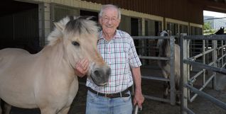 Pferde begleiten Walter Arnolds Leben seit 77 Jahren.