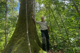 Paul Erbacher neben der mächtigen Eiche im Stadtwald in der Nähe des Stadtteils Rauher Kapf. Etwa 300 Jahre alt dürfte der Baum sein, schätzt der Forstrevierleiter. Solche Dimensionen lassen auch ihn die Zeit mit anderen Augen sehen.