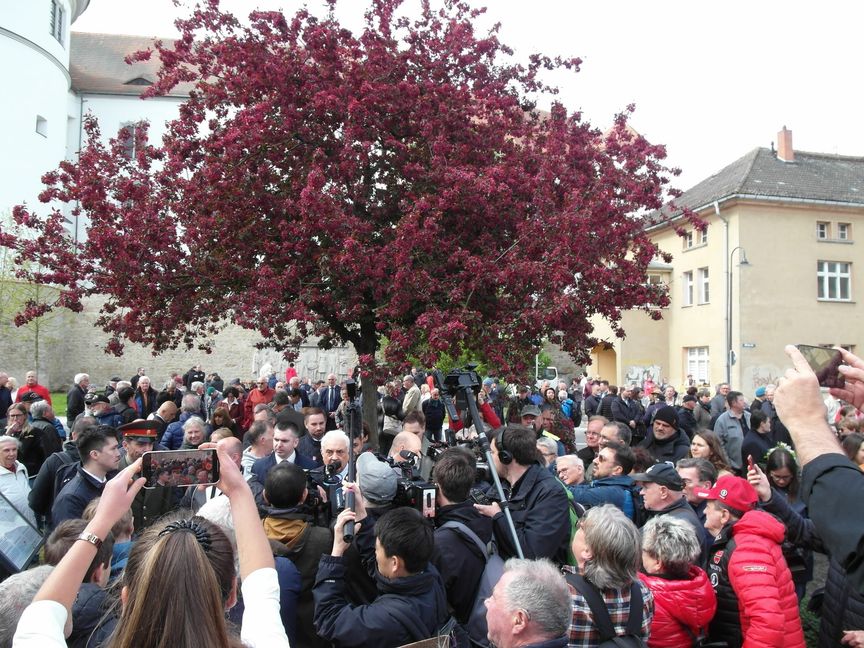 Durch den Medienrummel um die Teilnahme des russischen Botschafters Sergej Netschajew droht die Gedenkveranstaltung am 25. April beim Torgauer „Denkmal der Begegnung“, aus dem Ruder zu laufen. Bild: Staber