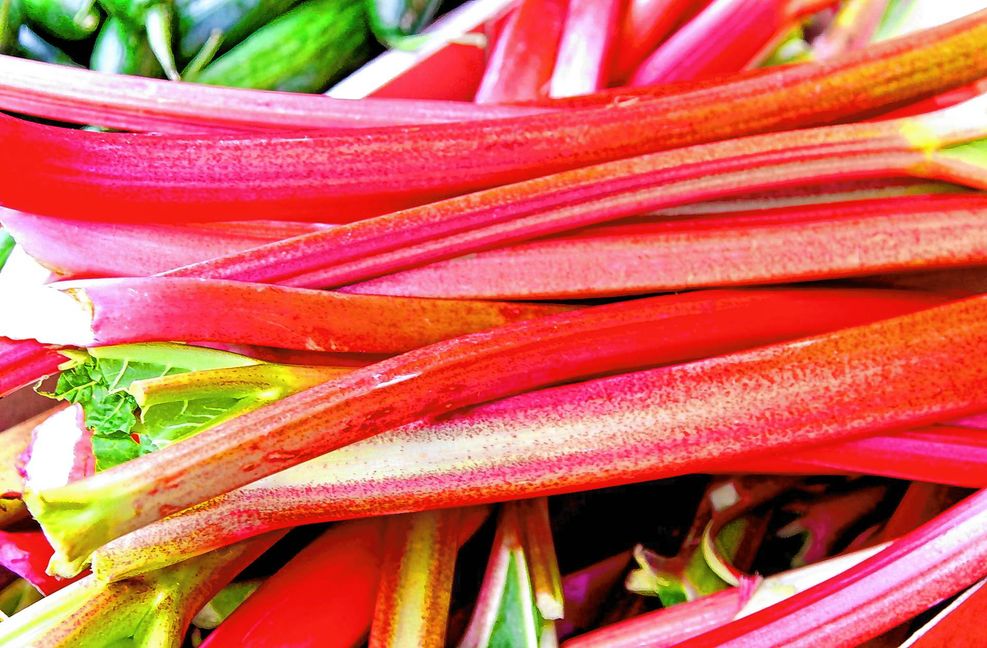 Nicht nur lecker, sondern auch gesund: Im Rhabarber steckt zum Beispiel viel Vitamin C.