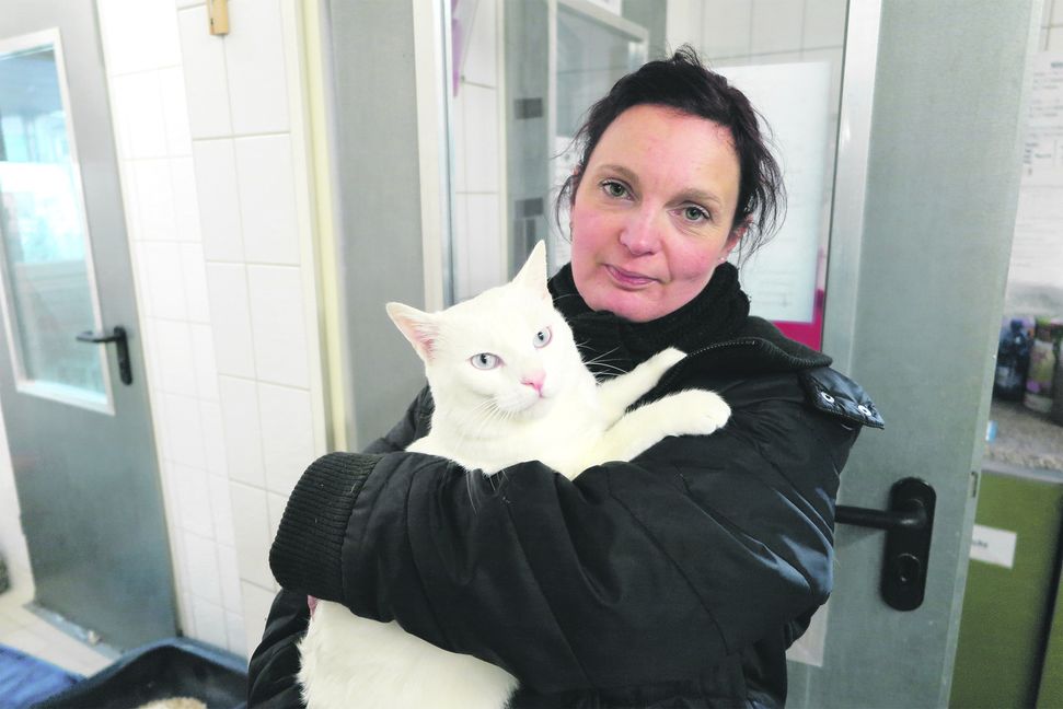 Der einjährige Kater Paolo sucht ein neues Zuhause und verbringt Silvester deshalb im Böblinger Tierschutzheim. Am liebsten schmust er auf Carmen Parons Arm.  Bild: Groß
