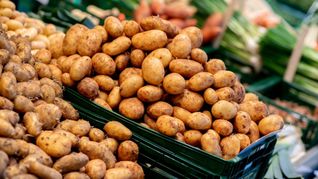 Frische Kartoffeln an einem Wochenmarktstand in Oldenburg (Niedersachsen).