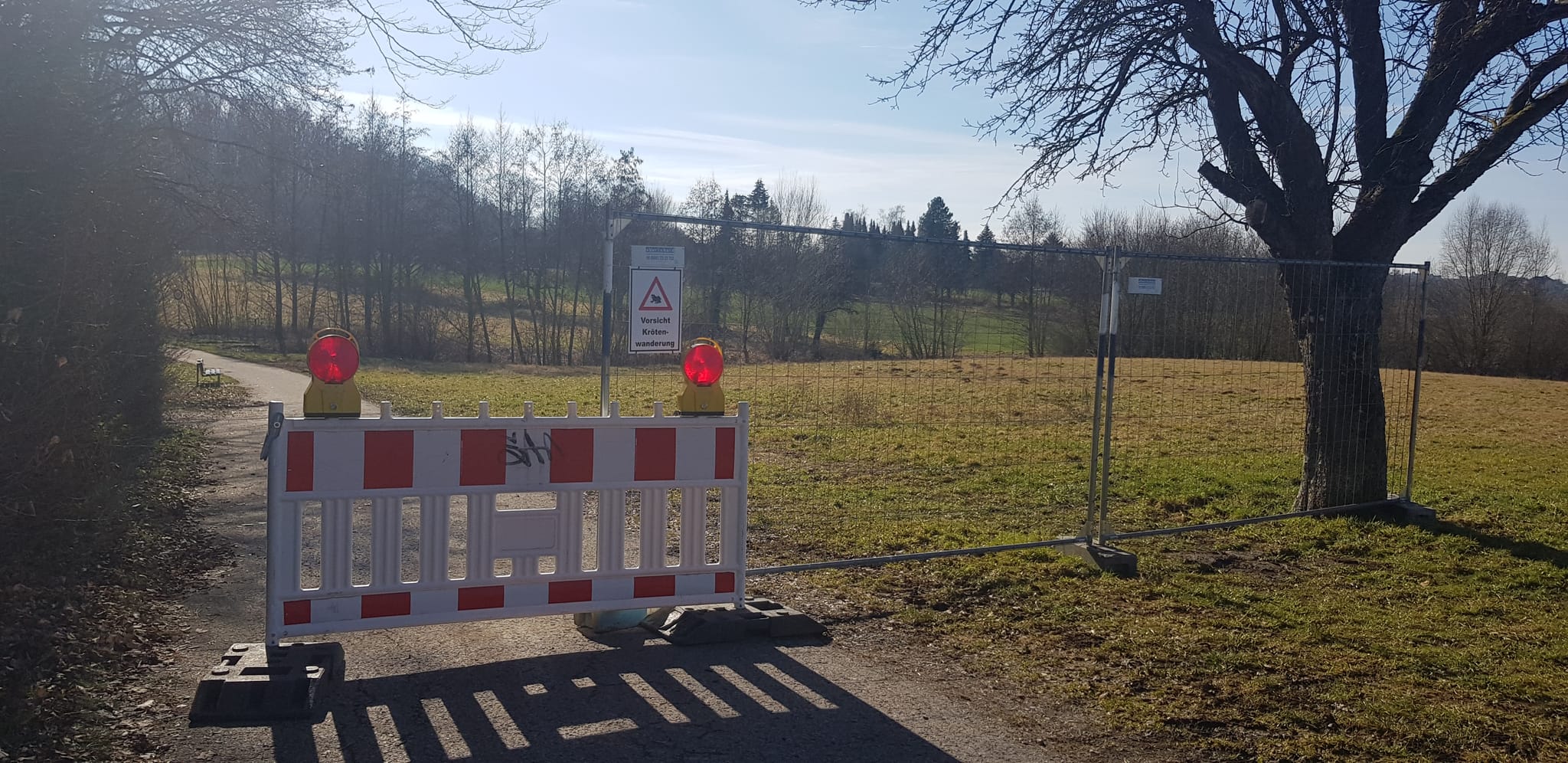 Am Böblinger Zimmerschlag war  ein Weg während der Krötenwander-Phase zeitweise gesperrt.