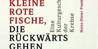 Heinz-Dieter Franke: Kleine rote Fische, die rückwärts gehen