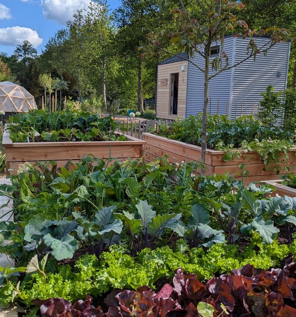 Tipps und Ideen für den Anbau gehören klassischerweise zur Gartenschau.