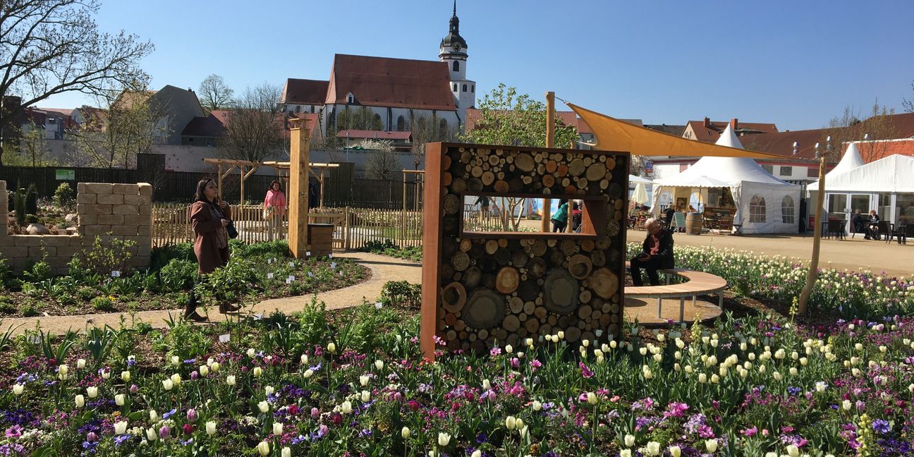 Tulpenblüte vor Schloß Hartenfels: Der Sindelfinger Verein ISPAS veranstaltet eine Reise zur Landesgartenschau nach Torgau.  Bild: Bausch/A