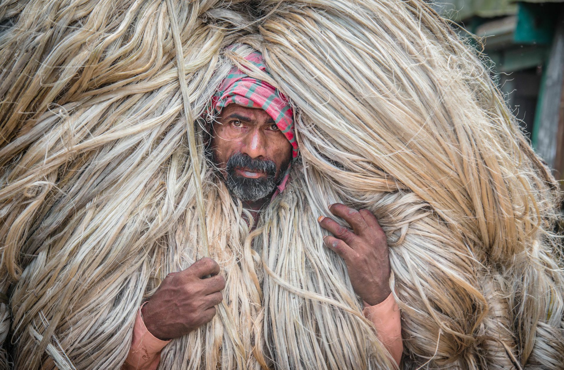 Jute: eben noch auf einem Markt in Bangladesch...
