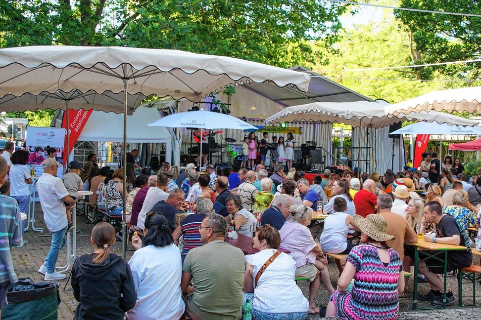 Zahlreiche Besucher sahen sich die Auftritte der Schüler der Goldberg-Gemeinschaftsschule an. Bild: Dettenmeyer