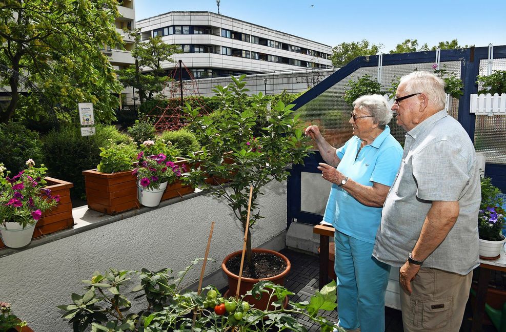 Das Ehepaar Schnock umgibt sich auf seiner Terrasse mit viel Grün.
 Foto: Lipicom/Michael H. Ebner