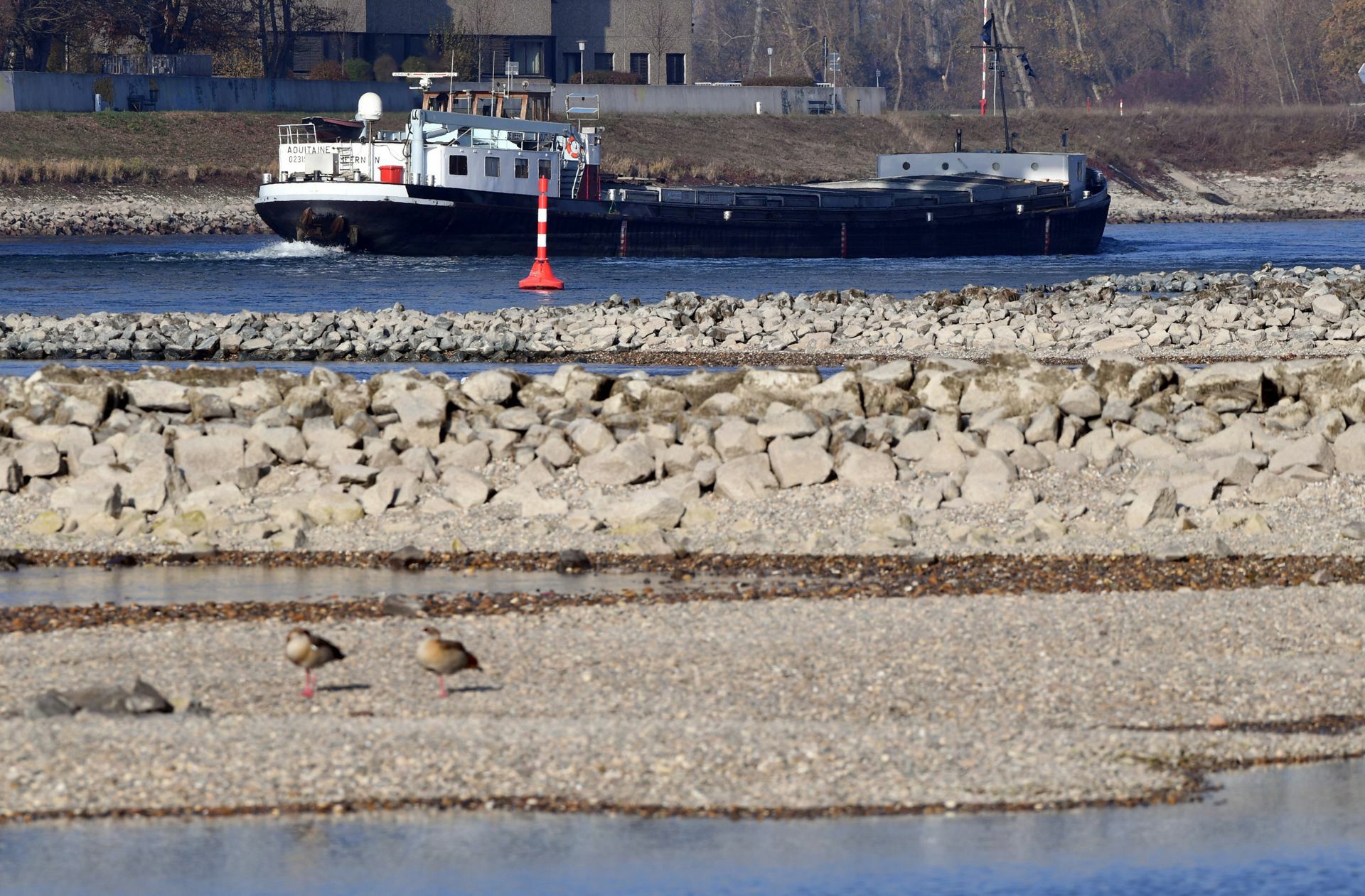 Im Trockenjahr 2018 war die Schifffahrt auf dem Rhein wie hier bei Karlsruhe stark eingeschränkt gewesen.