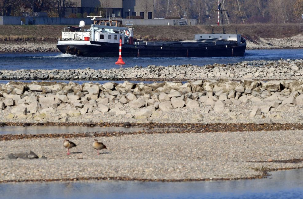 Im Trockenjahr 2018 war die Schifffahrt auf dem Rhein wie hier bei Karlsruhe stark eingeschränkt gewesen.