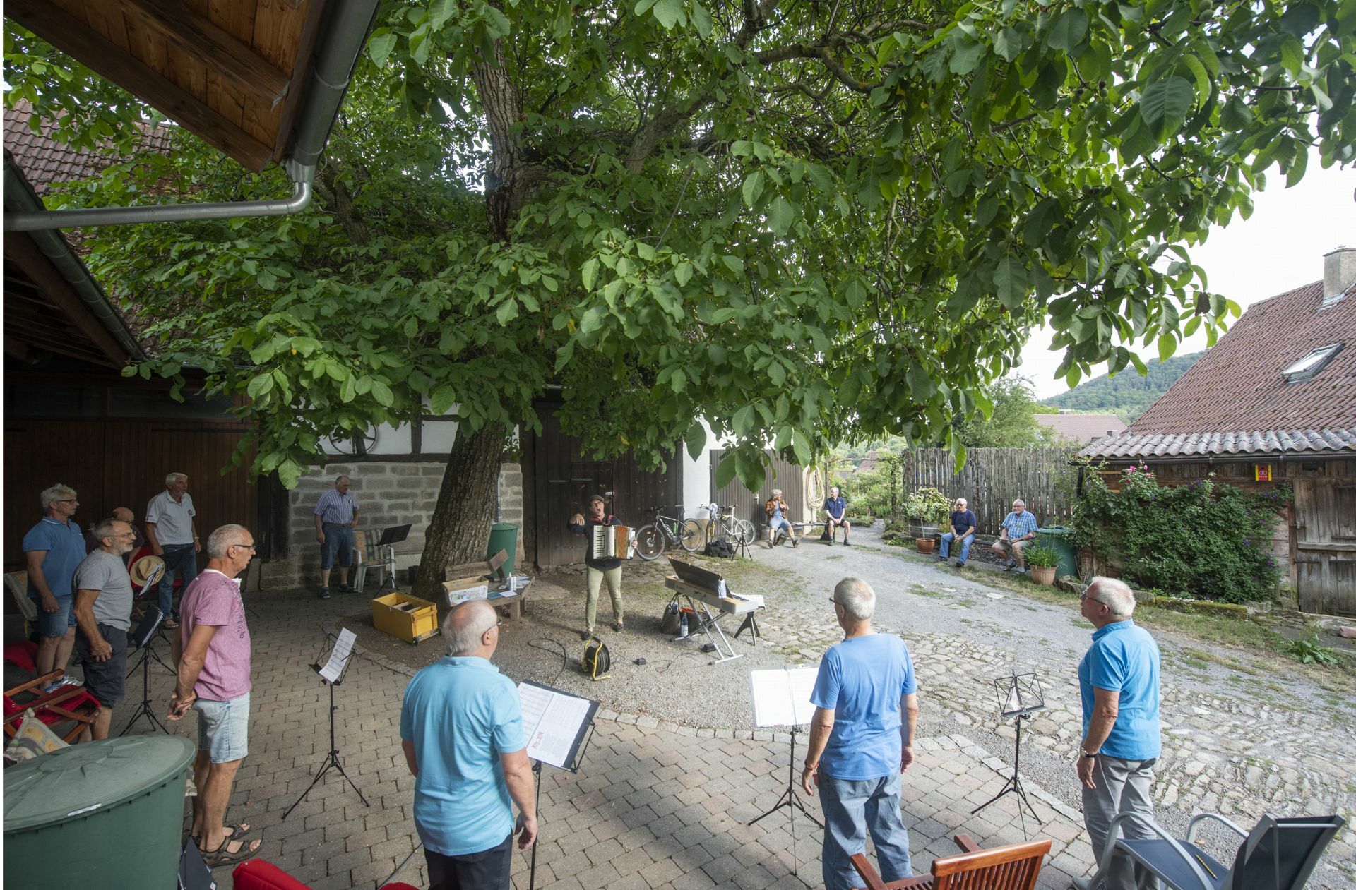 Gesungen wird unterm Nussbaum, ...