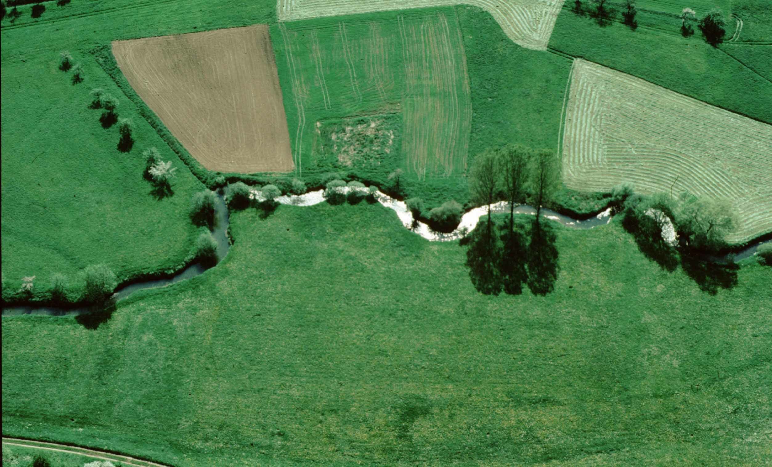 Seit 30 jahren unter Schutz: die Wiesen links und rechts der Mäander der Würm (Bild: Bäuerle/A).