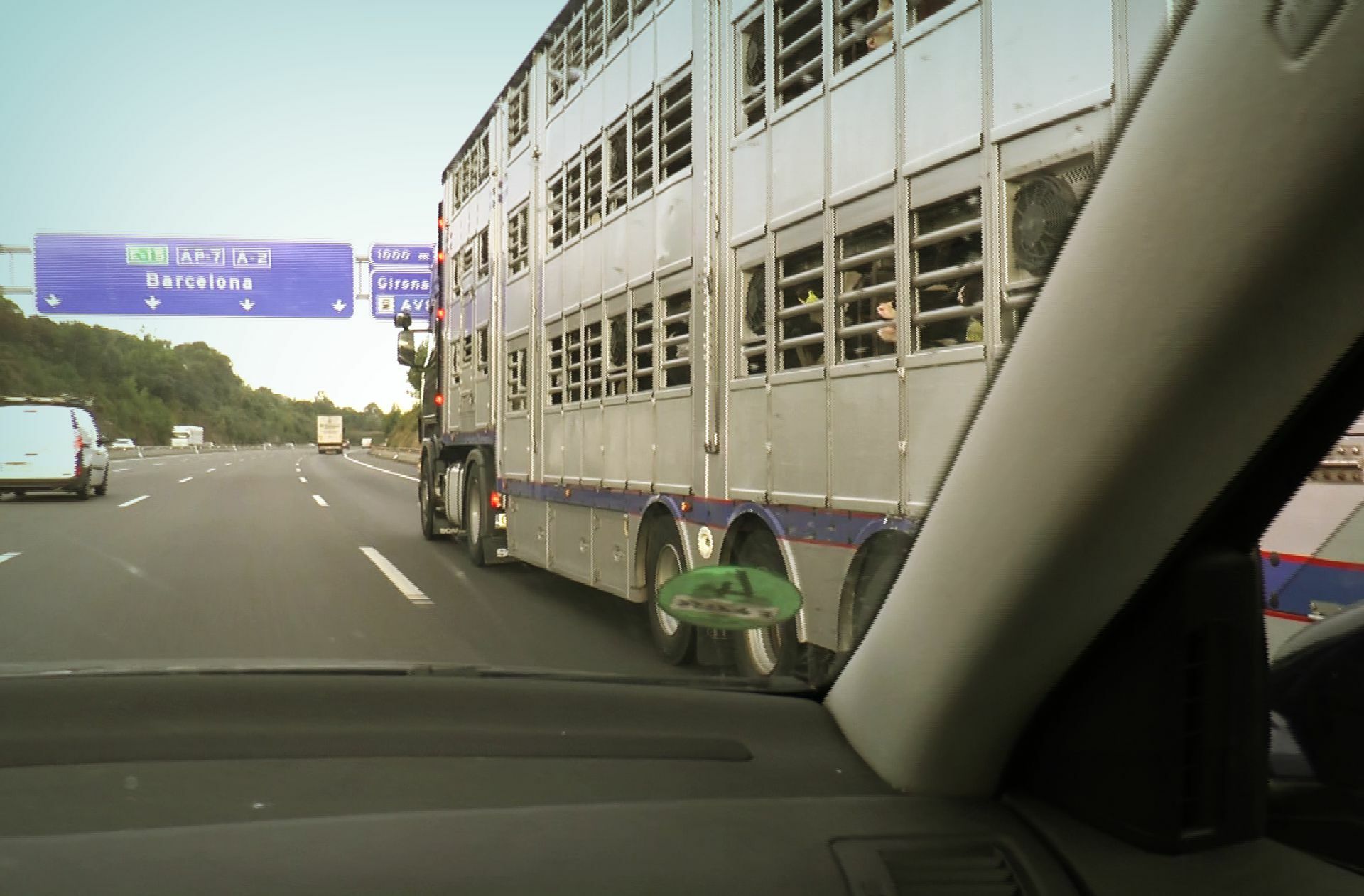 Tierschützer begleiten häufig die Transporte der Kälber nach Spanien. Nach ihren Aussagen  werden die Tiere mangelhaft versorgt.