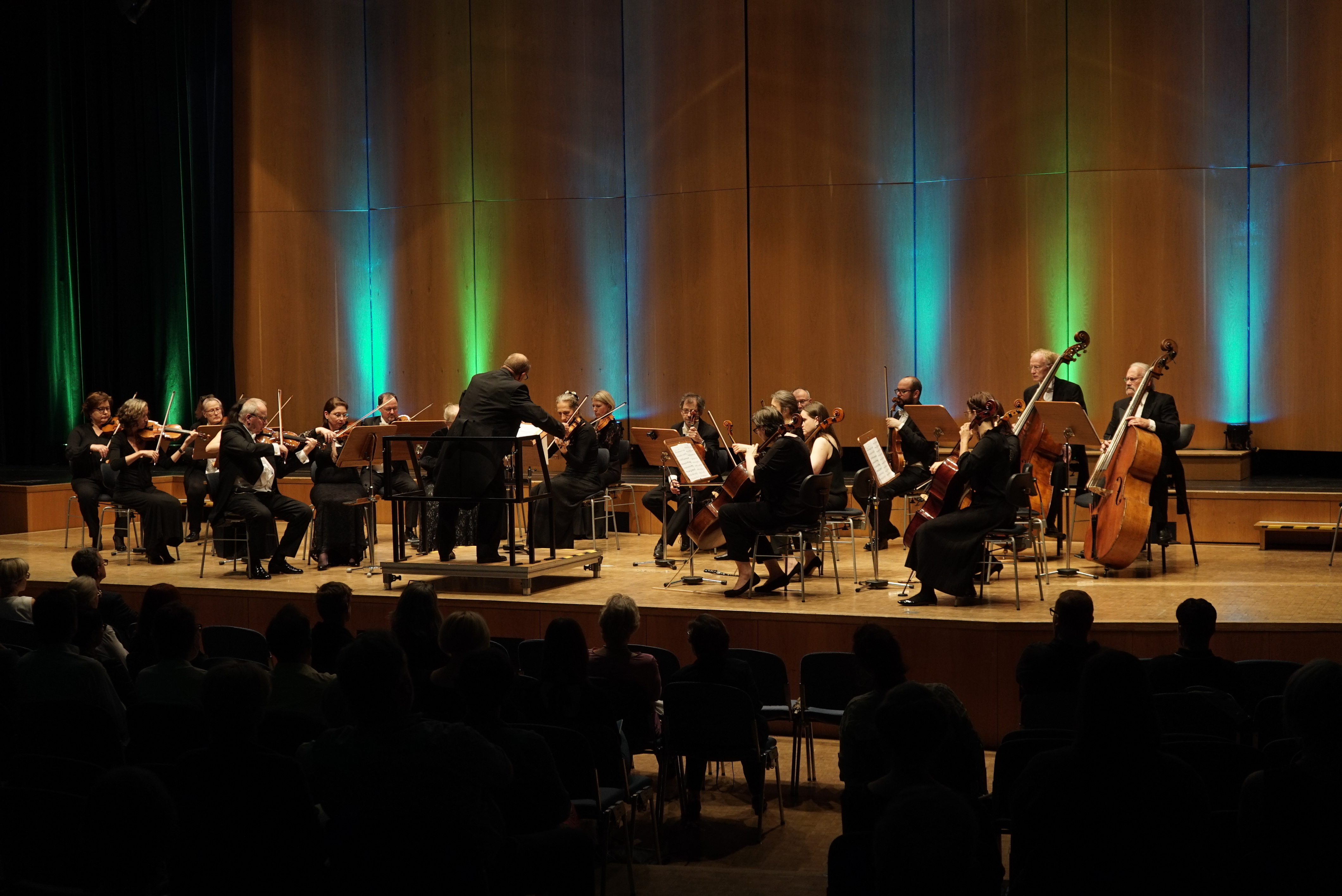 Das Kammerorchester Sindelfingen unter der Leitung von Albrecht Holder.  Bild: Heiden