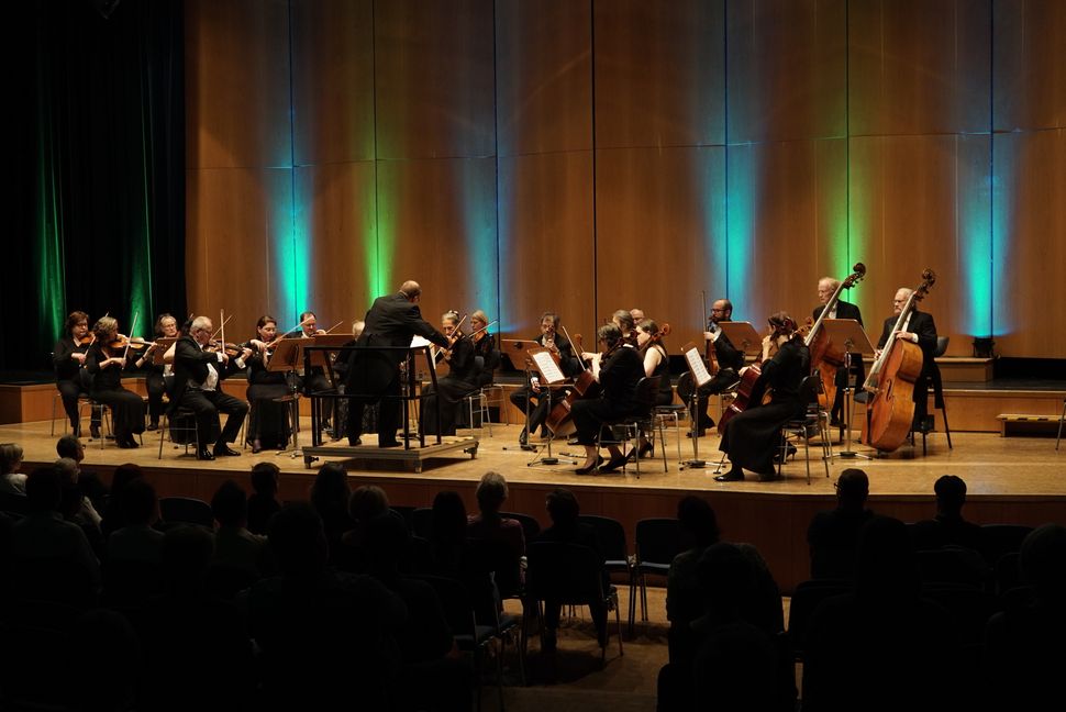 Das Kammerorchester Sindelfingen unter der Leitung von Albrecht Holder.  Bild: Heiden