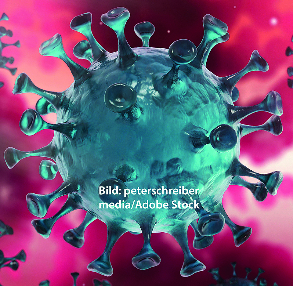 Bild: Adobe Stock/peterschreiber.media