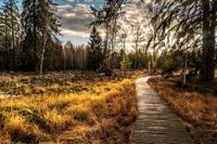Birkensee auf dem Bromberg: Reiner Mezger, Schönaich