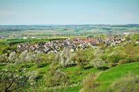 Kayh-Blüte: Adolf Ugele, Herrenberg