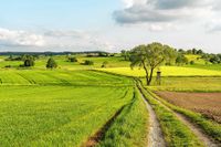 Obere Talwiesen, Hildrizhausen: Peter Reck, Sindelfingen