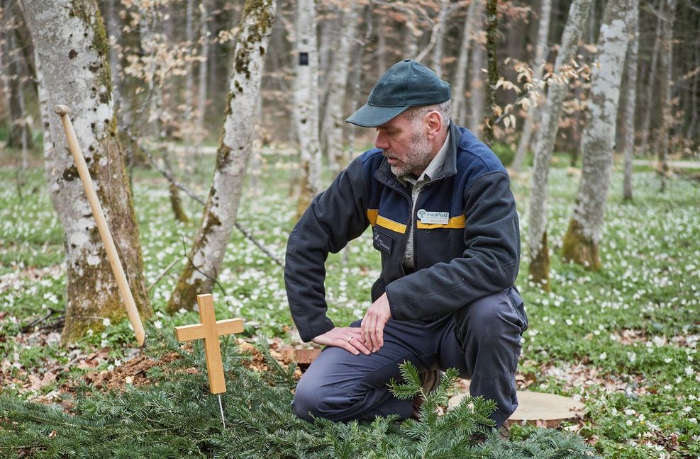 Martin Schuh an einem Grab. Üppige Blumengestecke, Kränze, Laternen, Engelsfiguren – all das sucht man im Friedwald vergeblich. Der Ort soll seinen natürlichen Zustand behalten.
Foto: Lothar Dörfer