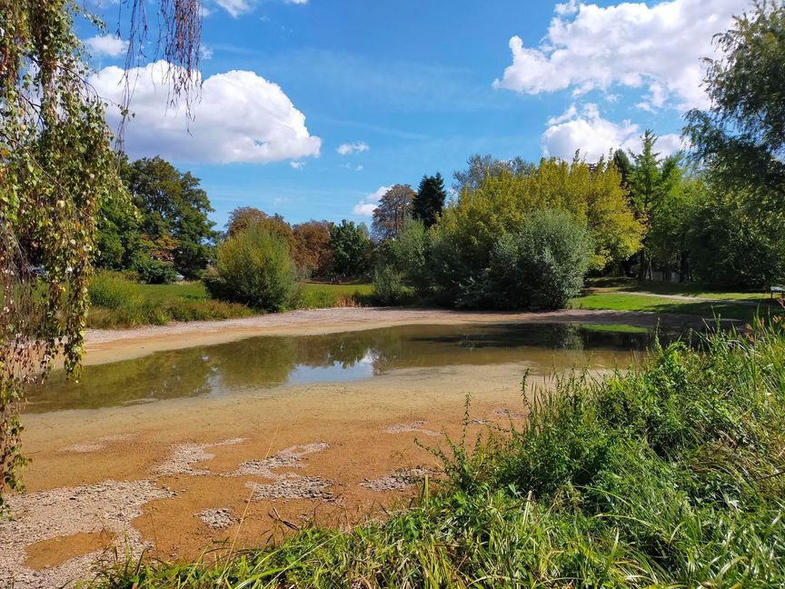 Vom See im Sindelfinger Dronfield-Park ist zurzeit nur eine kleine Pfütze übrig. Bild: Schweiker