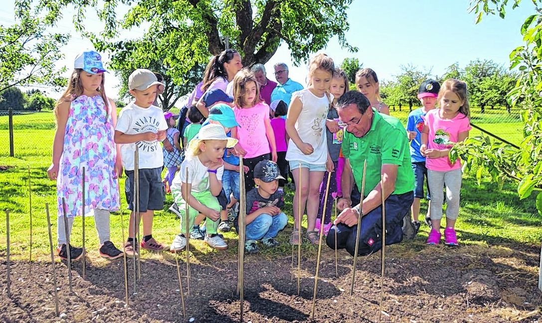 Rudi König (rechts) zeigt den Kindern, wie sie Sonnenblumen pflanzen. Bild: Groß