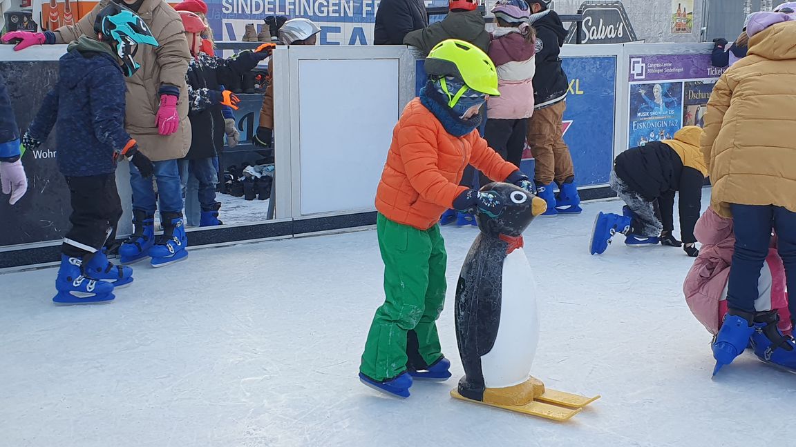 So ein Pinguin ist ganz schön hilfreich.    Bild: Wegner