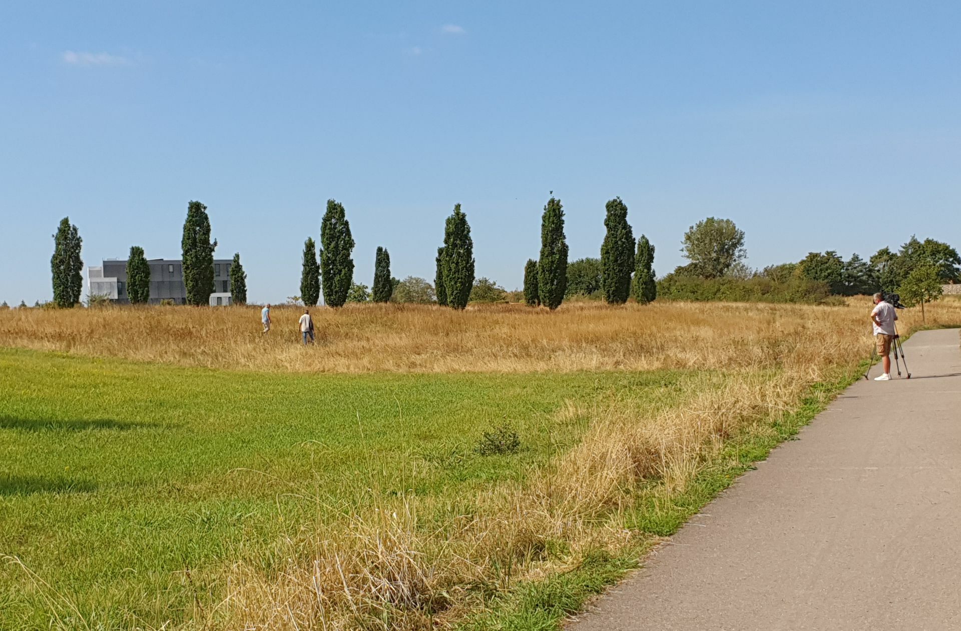 Auch hier, in der Nähe von SAP, hat ein Pärchen gebrütet. Demnächst ist hier der dritte Bauabschnitt des Walldorfer Neubaugebiets geplant.
