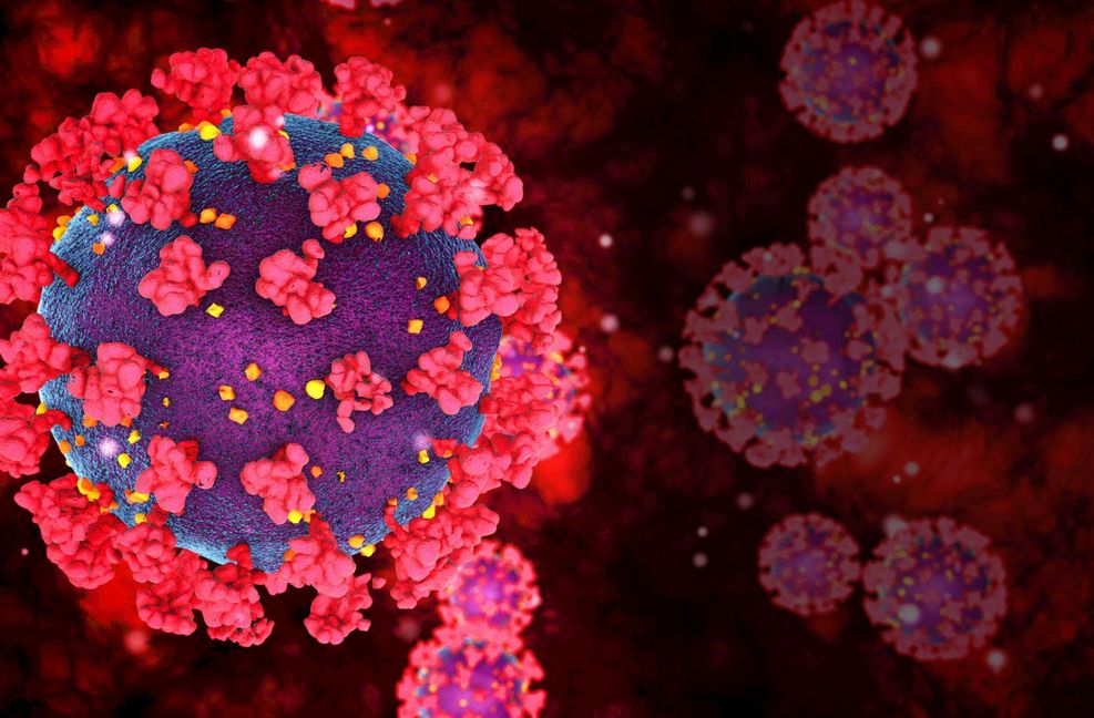 Die neuen Virusvarianten zeichnen sich durch Veränderungen am Stachel- oder Spikeprotein von Sars-CoV-2 aus, mit dem das Virus an Körperzellen andockt. Foto: imago images/Panthermedia