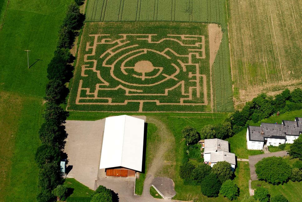 Bild: Stampe/Archiv