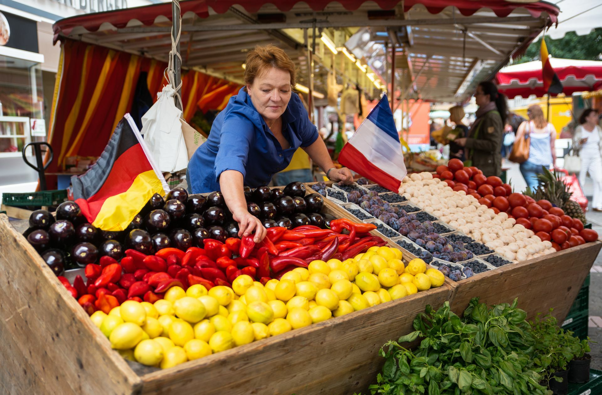 Vitamine für die Unternehmen? Frankreichs Steuerreform gilt in der Studie als Vorbild für Deutschland.