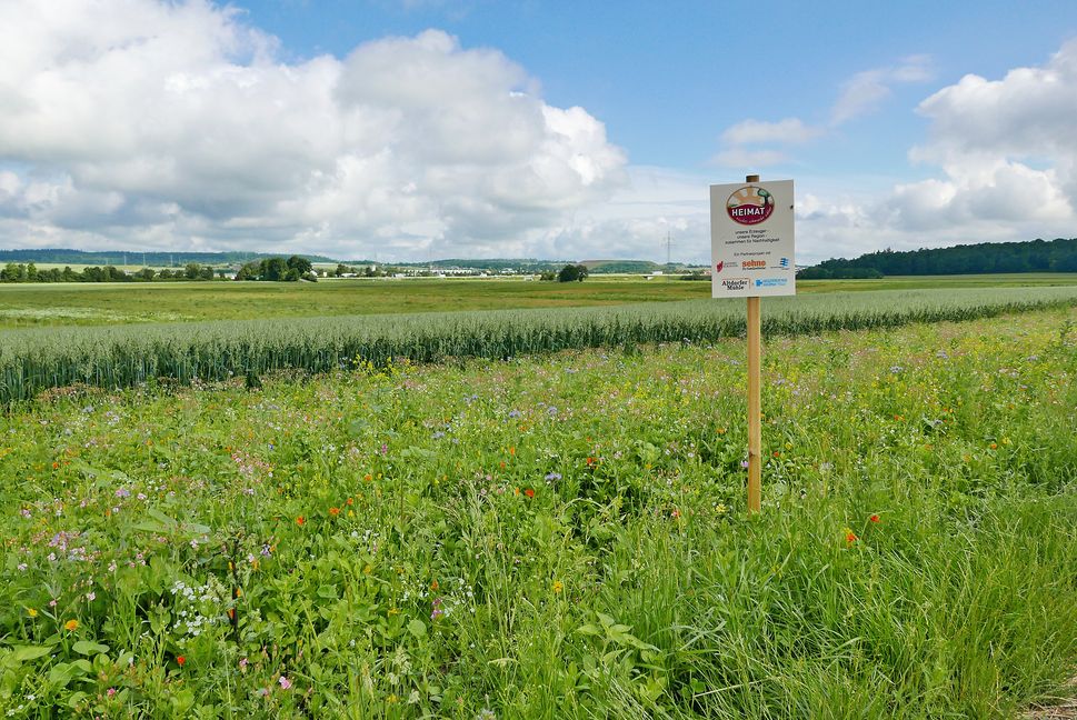 Am blühenden Ackerrandstreifen weist nun zwischen Ehningen und Rohrau das Heimatmarke-Schild auf das Projekt hin. Bild: Jung