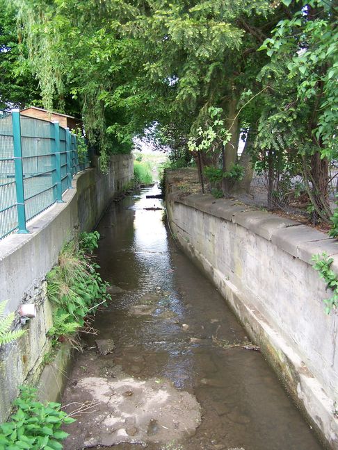 Der Planbach soll im Ortskern ein neues Bett bekommen. Bild: Reichert